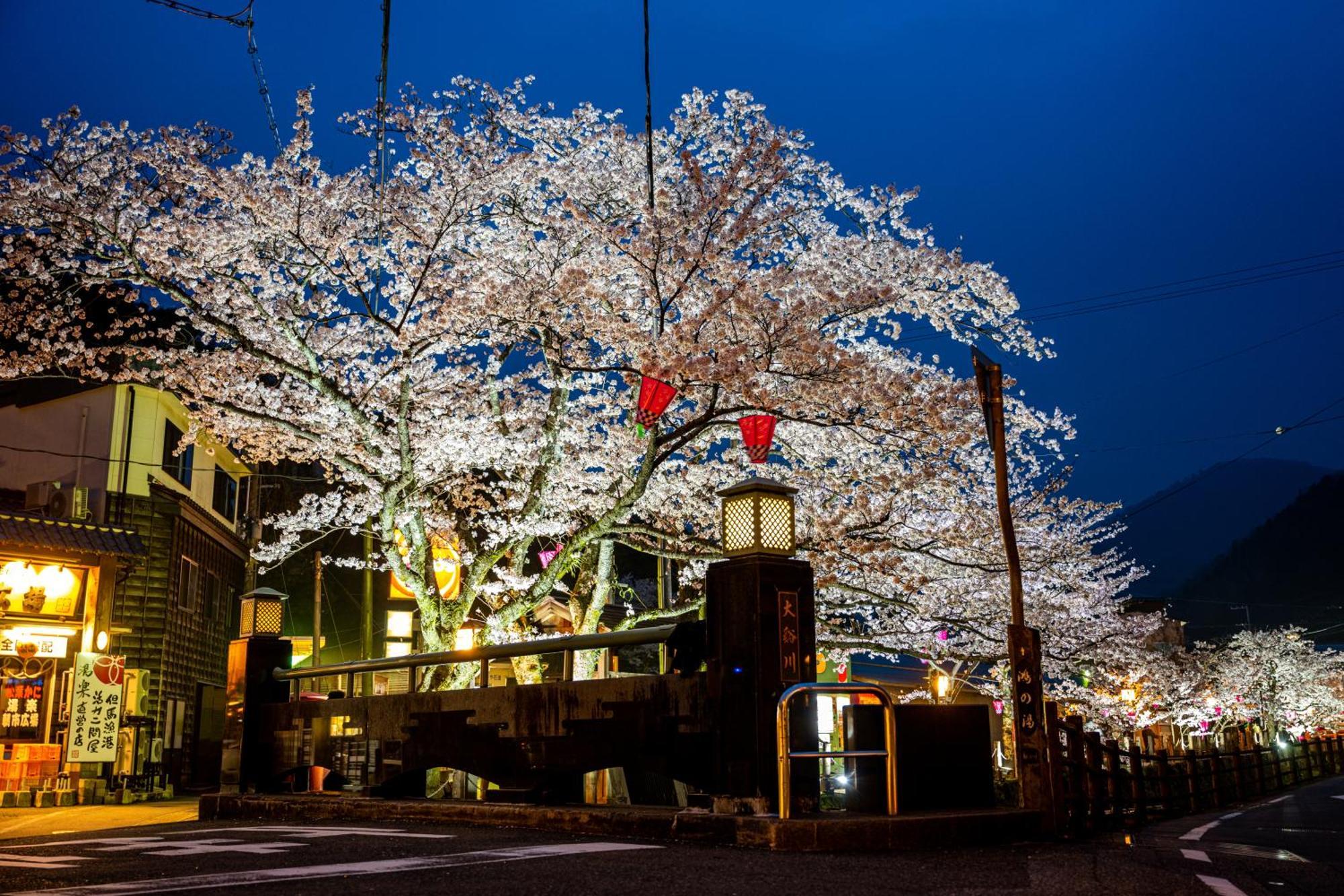 Hotel Mikuniya Toyooka  Exteriér fotografie